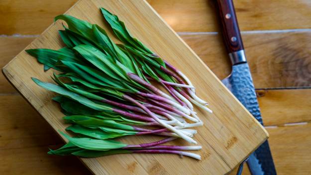 Sezon właśnie się zaczął. To naturalny antybiotyk..