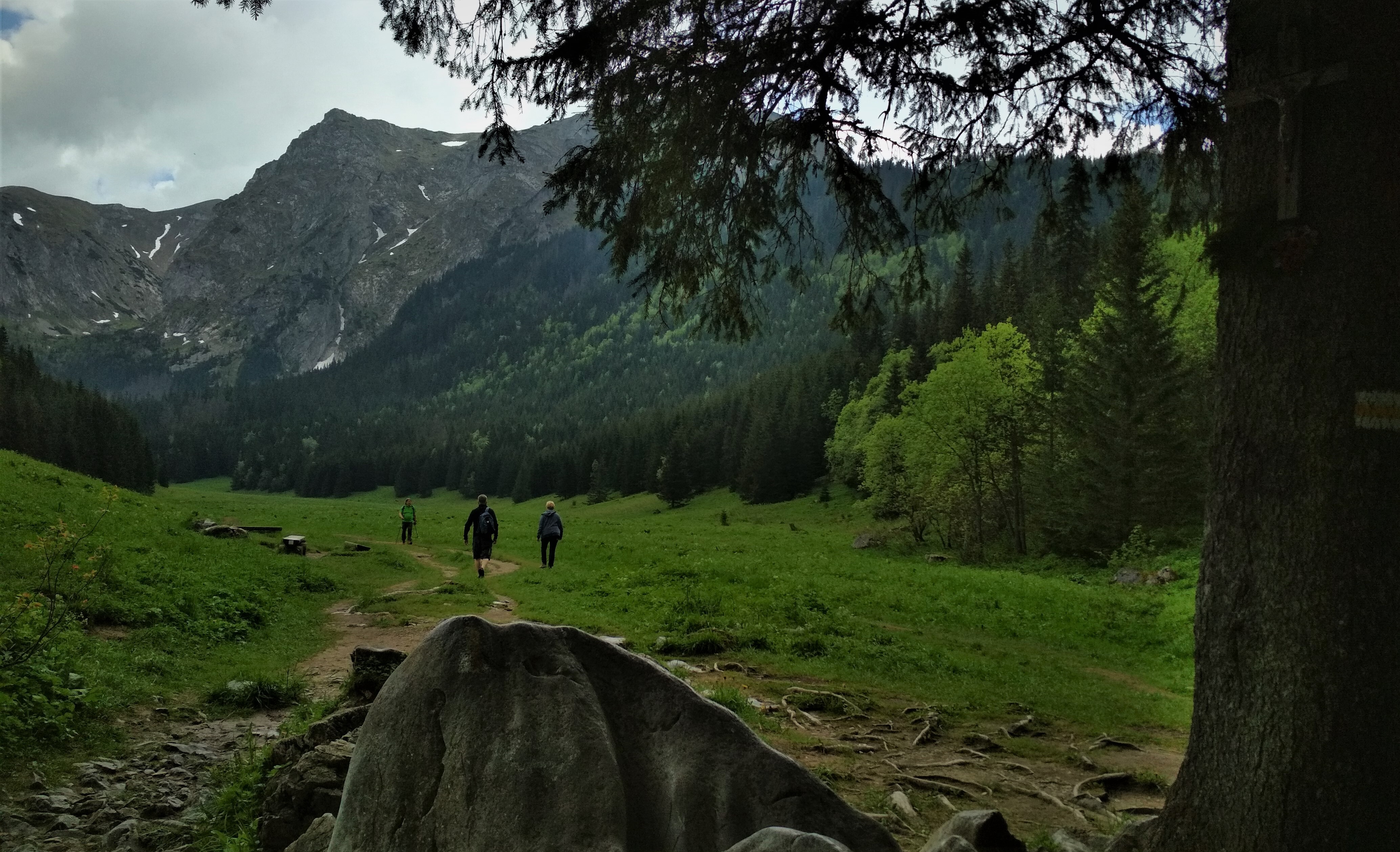 fot. K. Solecka