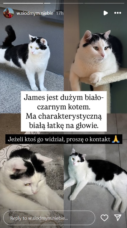 Dominika z Rolnik szuka zony na Instagramie